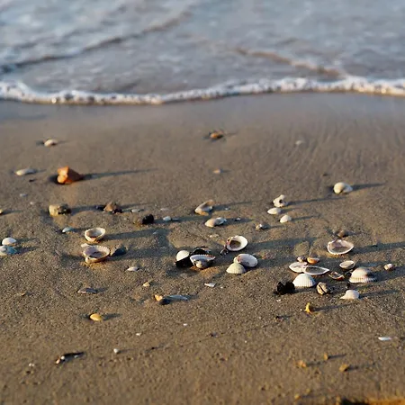 Calm Oasis In The Heart Of Daire Bibione