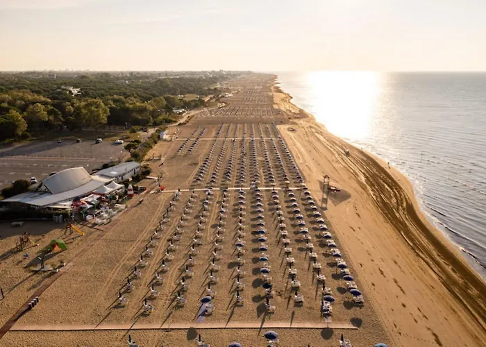 Calm Oasis In The Heart Of *