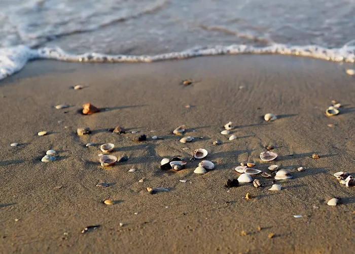 Calm Oasis In The Heart Of Daire Bibione